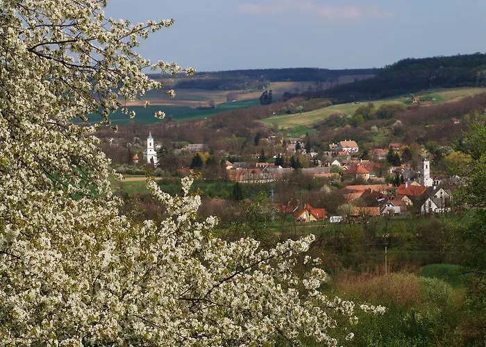 カントリーハウス Kapolcs Cottage カポルチ